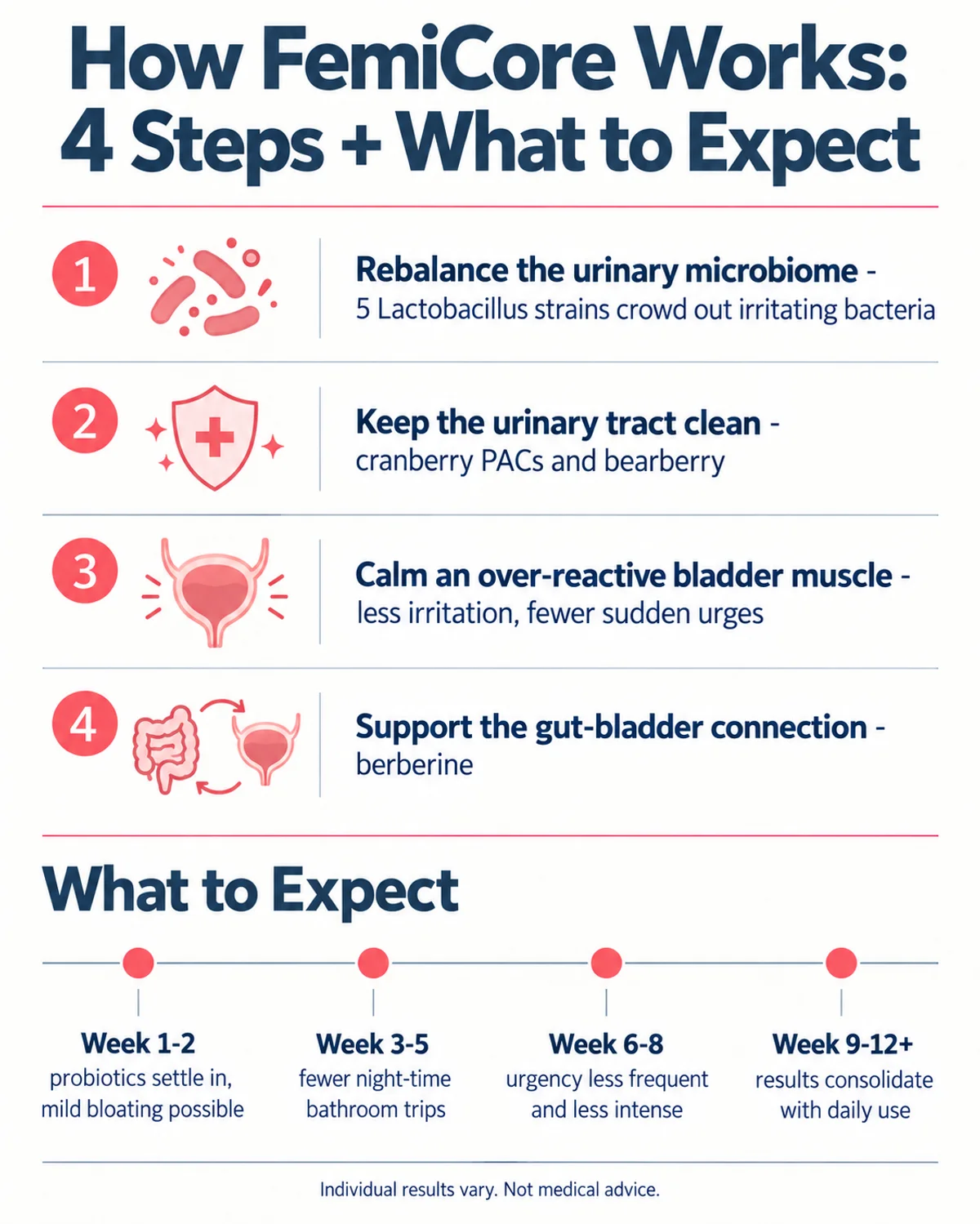 Infographic: how FemiCore works in 4 steps, from rebalancing the urinary microbiome to calmer bladder control, with a week-by-week timeline
