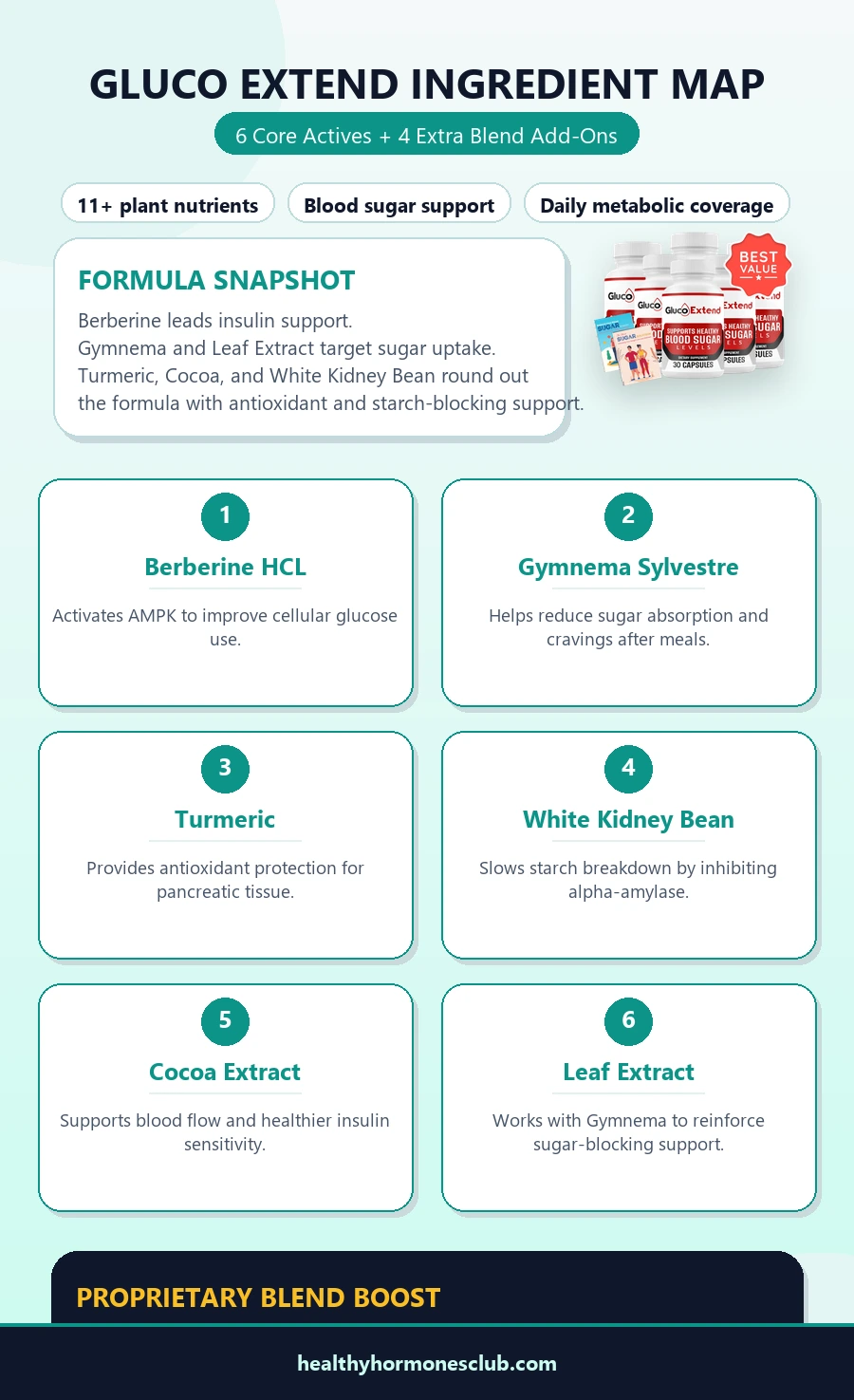 Gluco Extend Ingredients Infographic - 6 core actives plus proprietary blend support
