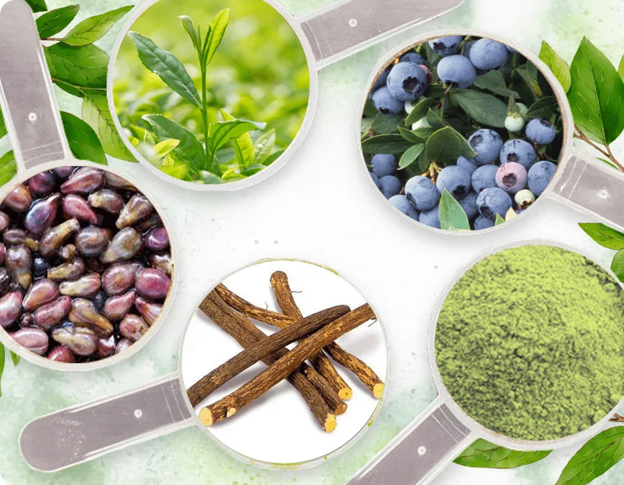 Neuro Serge ingredient collage showing green tea, grape seed, bilberry and licorice from the official page