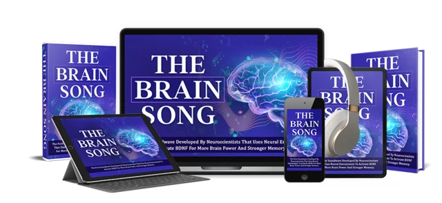 The Brain Song product image