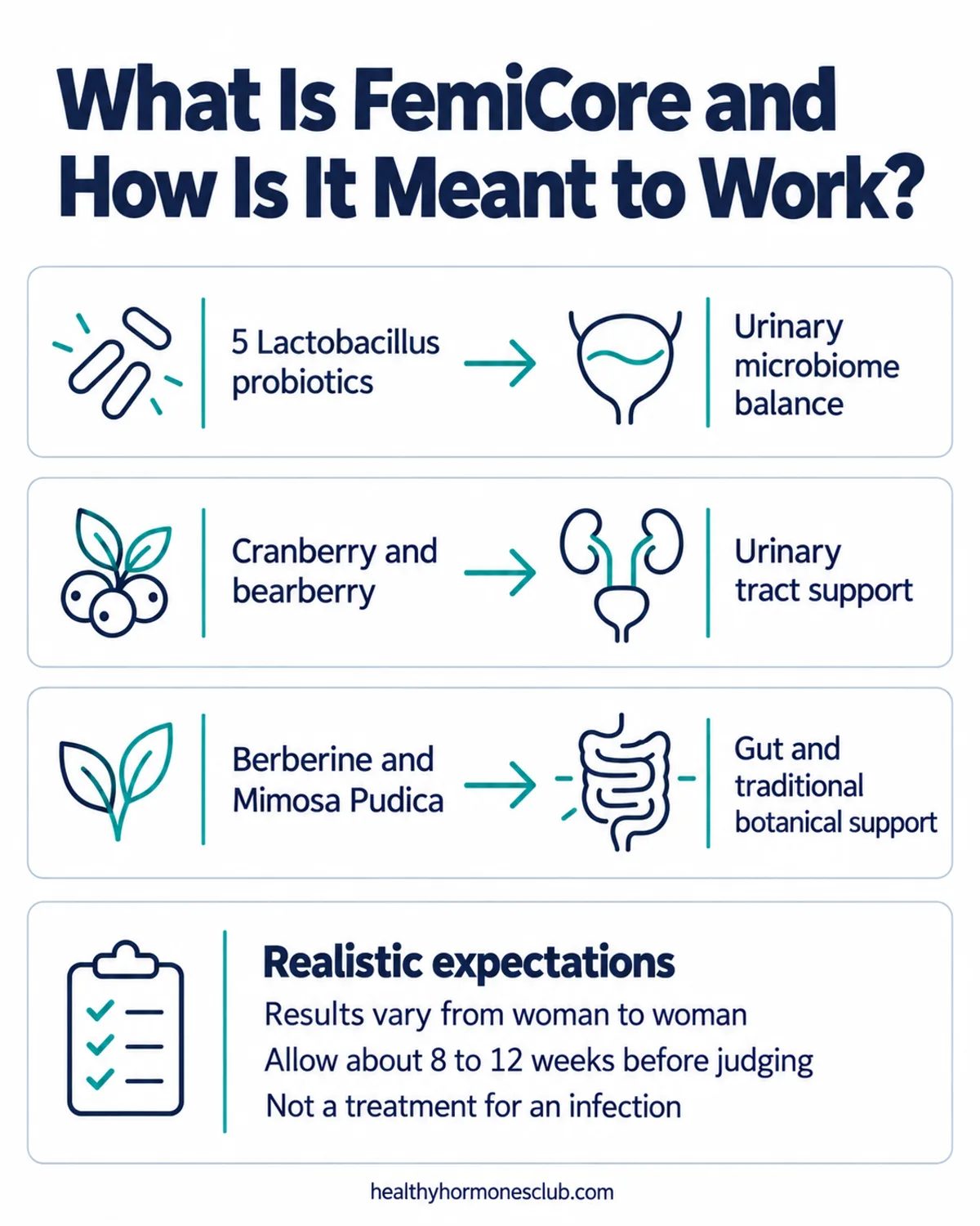 What is FemiCore infographic: botanicals and Lactobacillus probiotics supporting the urinary microbiome