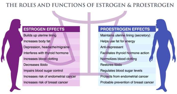 How Can I Increase My Estrogen Levels After Menopause